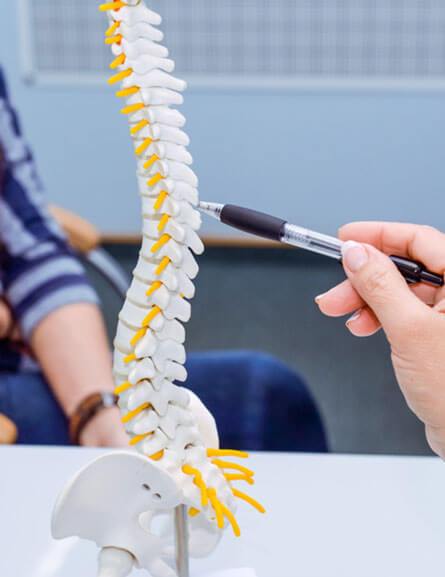 Amerikanische Chiropraktik in Rostock